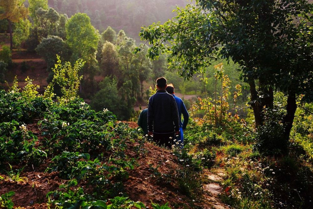 Hiking
