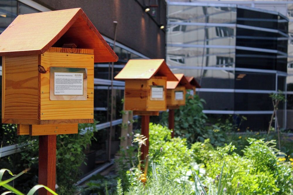 undefined Grand Mercure Sao Paulo Vila Olimpia 7