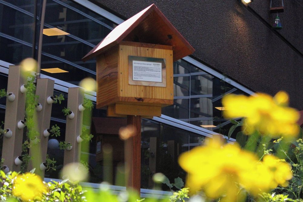 undefined Grand Mercure Sao Paulo Vila Olimpia 6