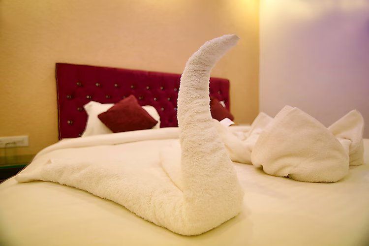 Hotel Gharonda Deluxe Room 3