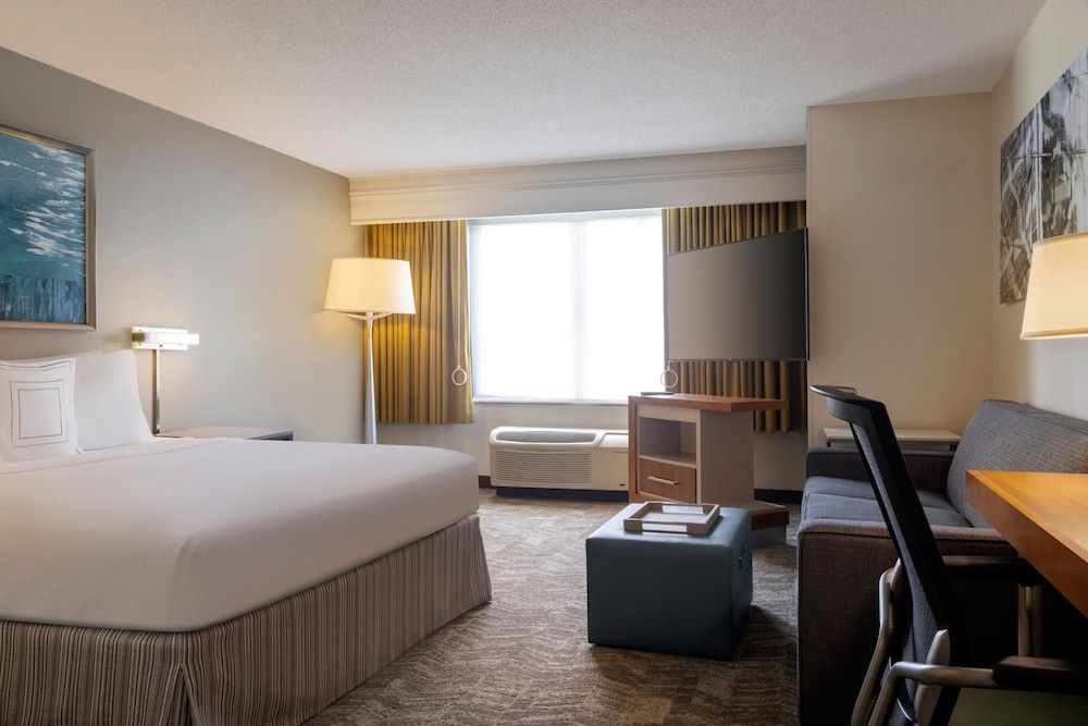 Suite, 1 King Bed with Sofa bed (Mobility/Hearing Access, Roll-In Shwr)