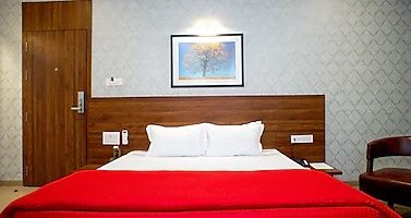 Mastiff Hotel Chinchwad by OTHPL Superior Queen 3