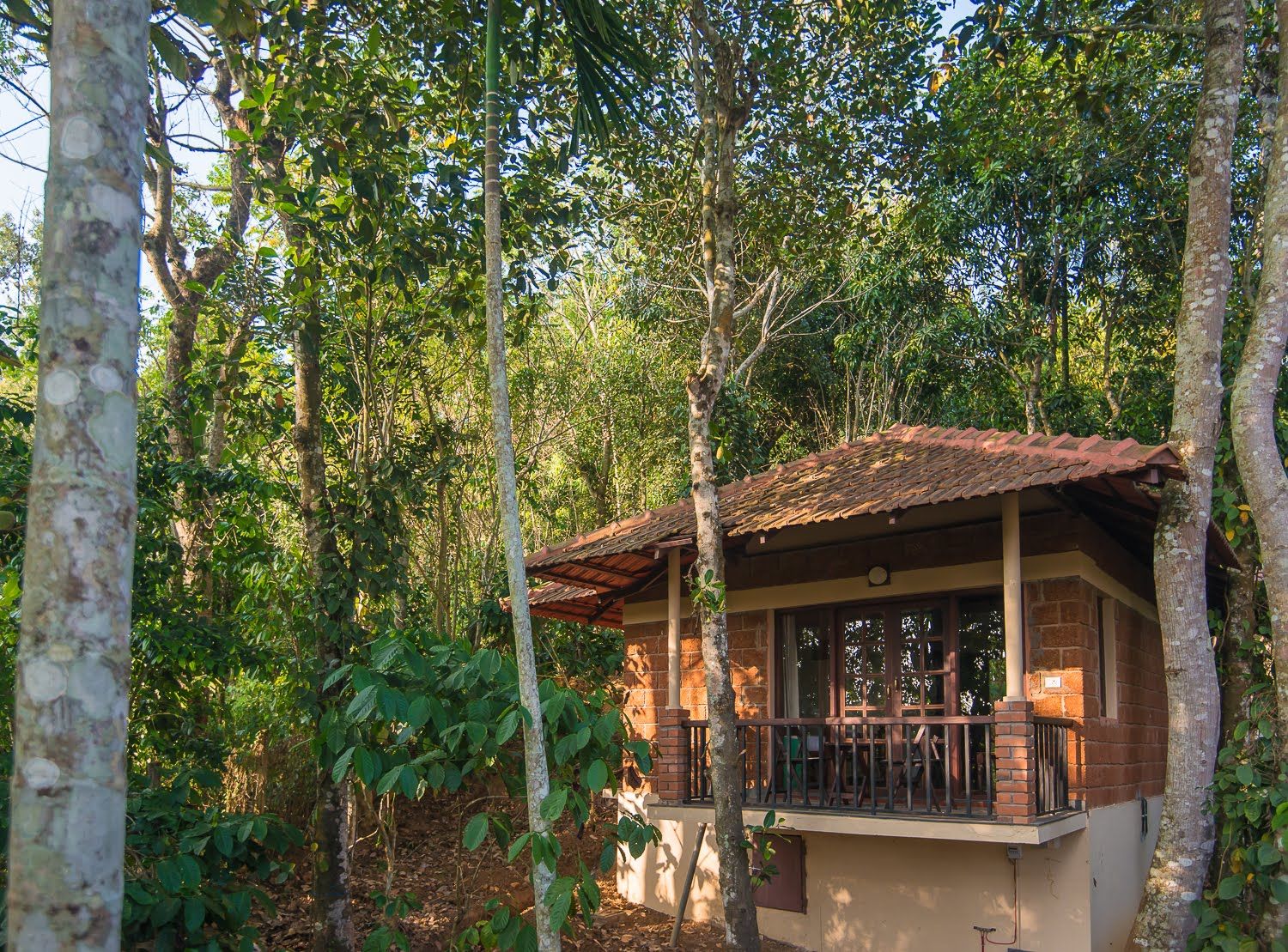 Raindrops Resort Premium Cottage