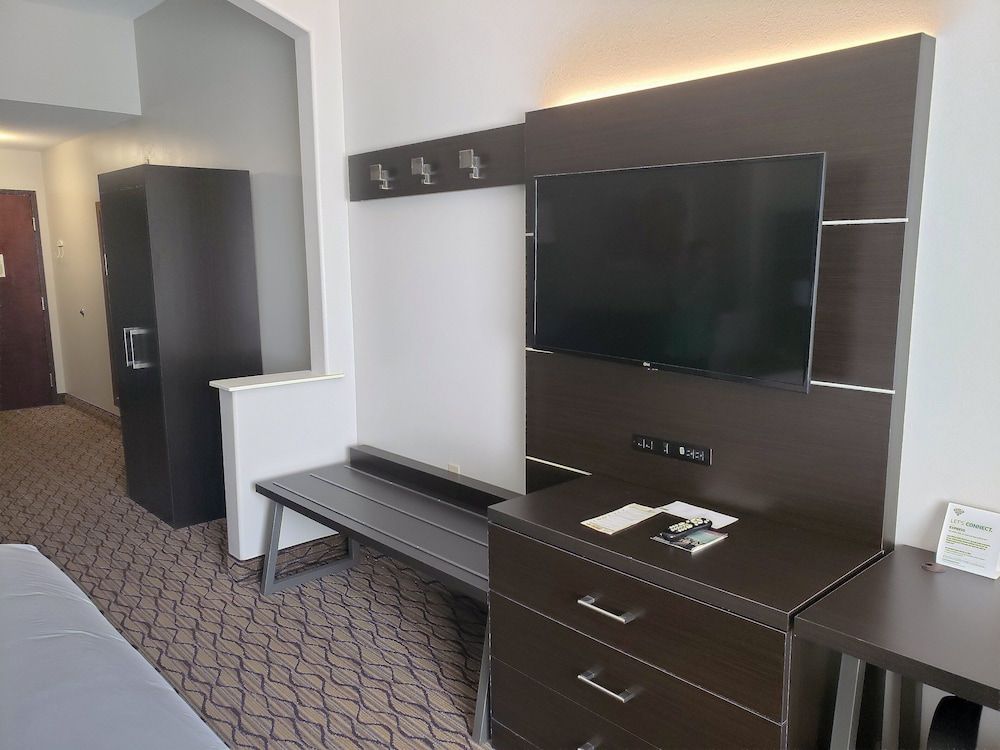 Suite, 1 King Bed with Sofa bed