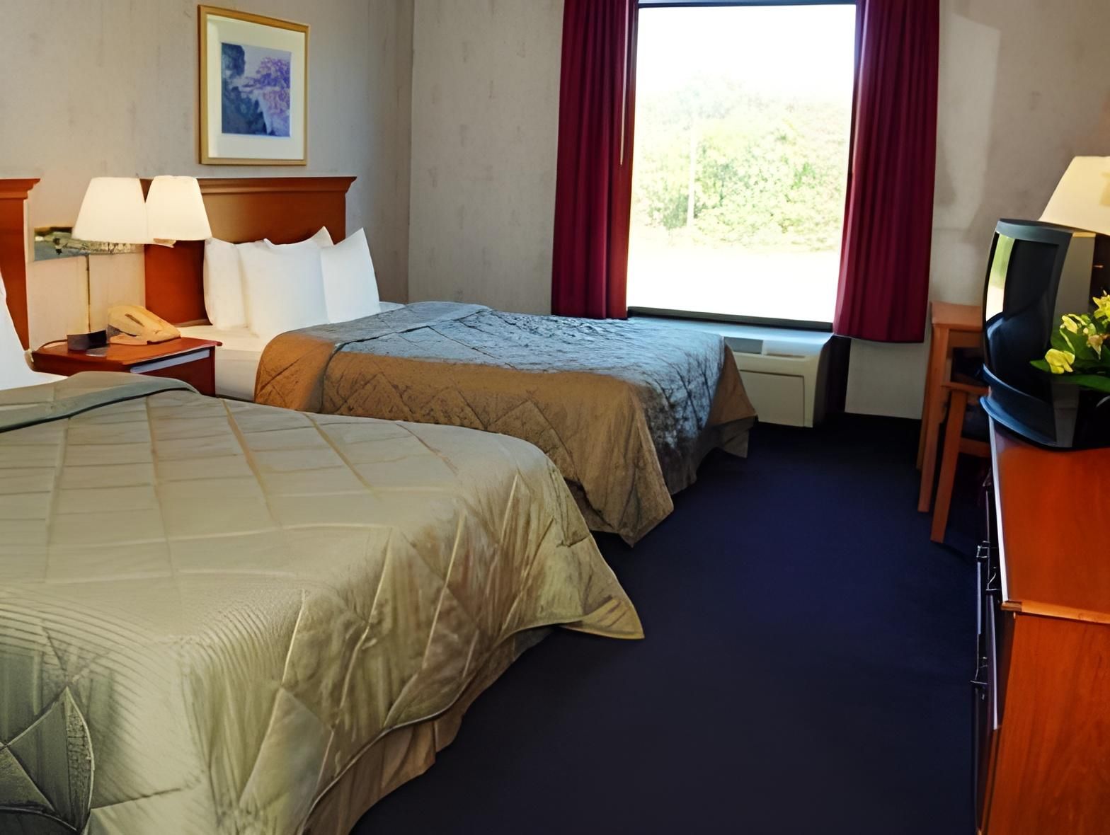 1 Bedroom Suite