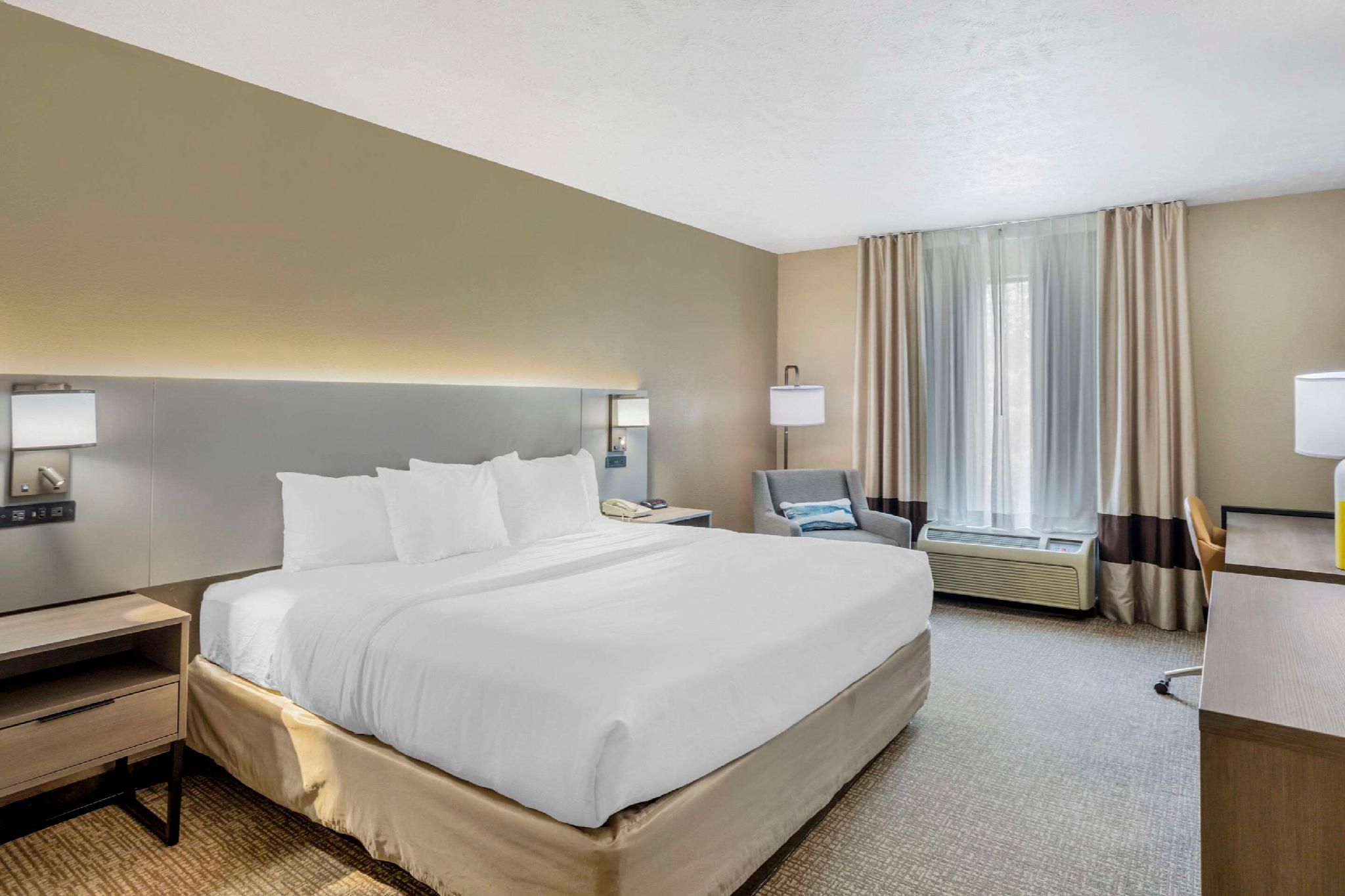1 King Bed, Nonsmoking, Accessible