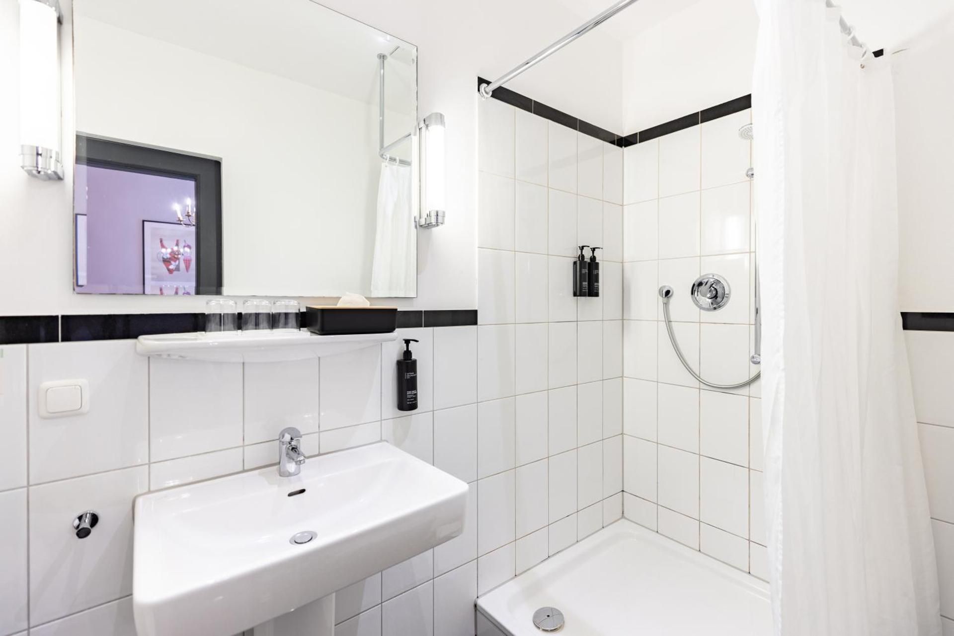 1 Queen Standard Sofa Bed