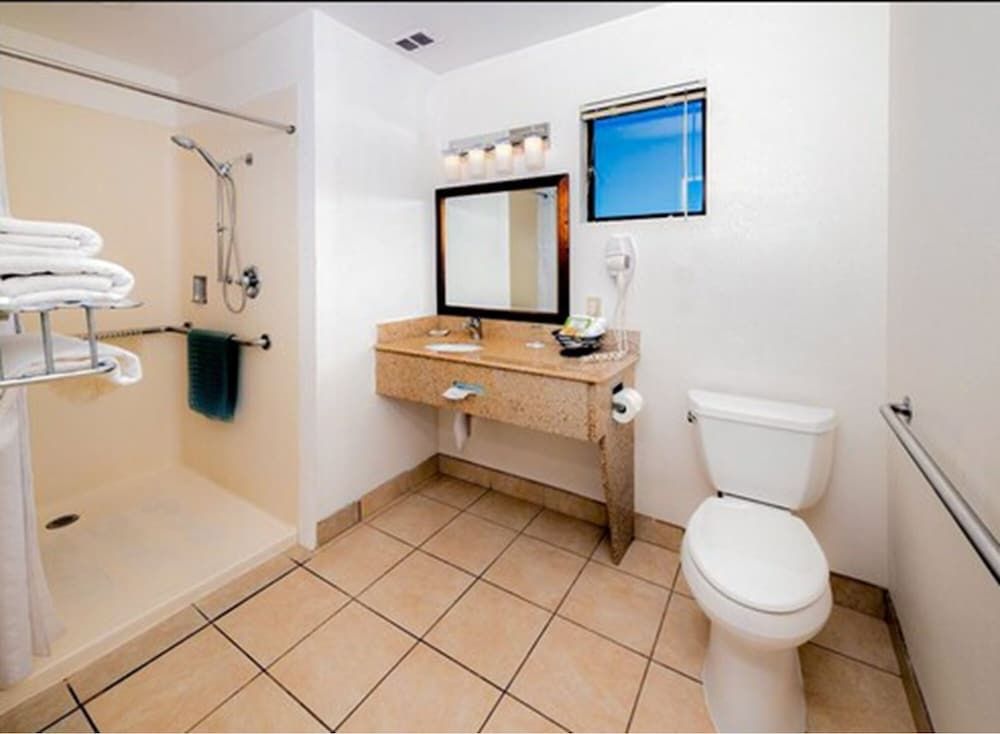 Buena Vista Motor Inn Standard Room, 1 King Bed, Accessible 3