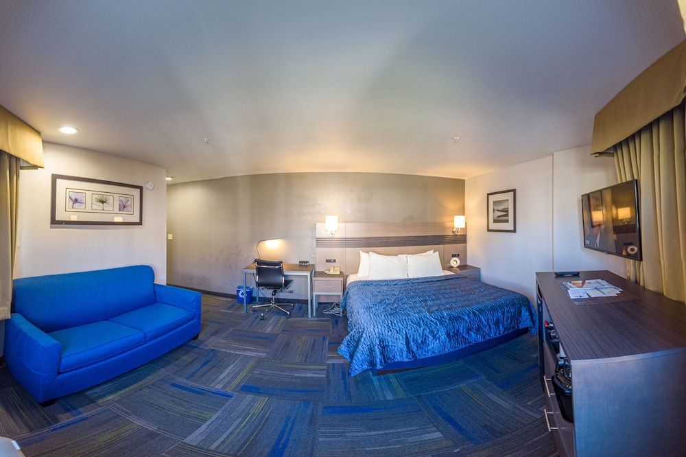 undefined Buena Vista Motor Inn 8