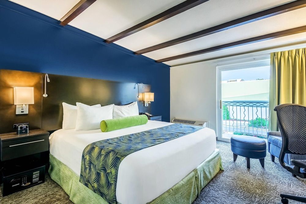 Room, 1 King Bed, Non Smoking