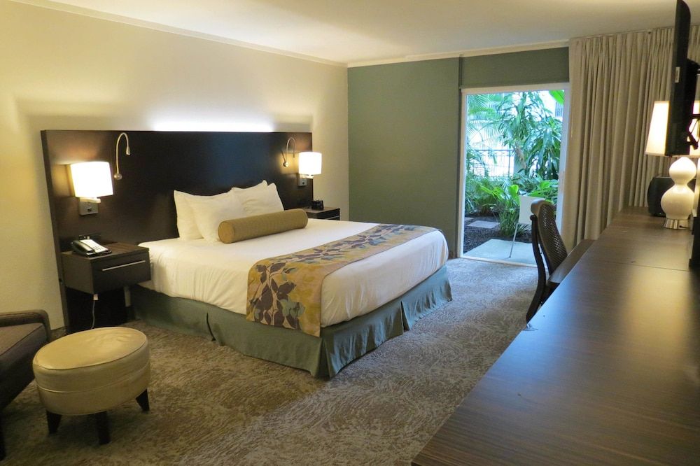 Room, 1 King Bed, Non Smoking, Poolside