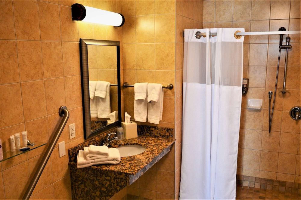 Waterloo Suites Hotel, Trademark Collection by Wyndham Suite, 1 King Bed with Sofa bed, Mobility Accessible, Non Smoking (Roll-In Shower) 4