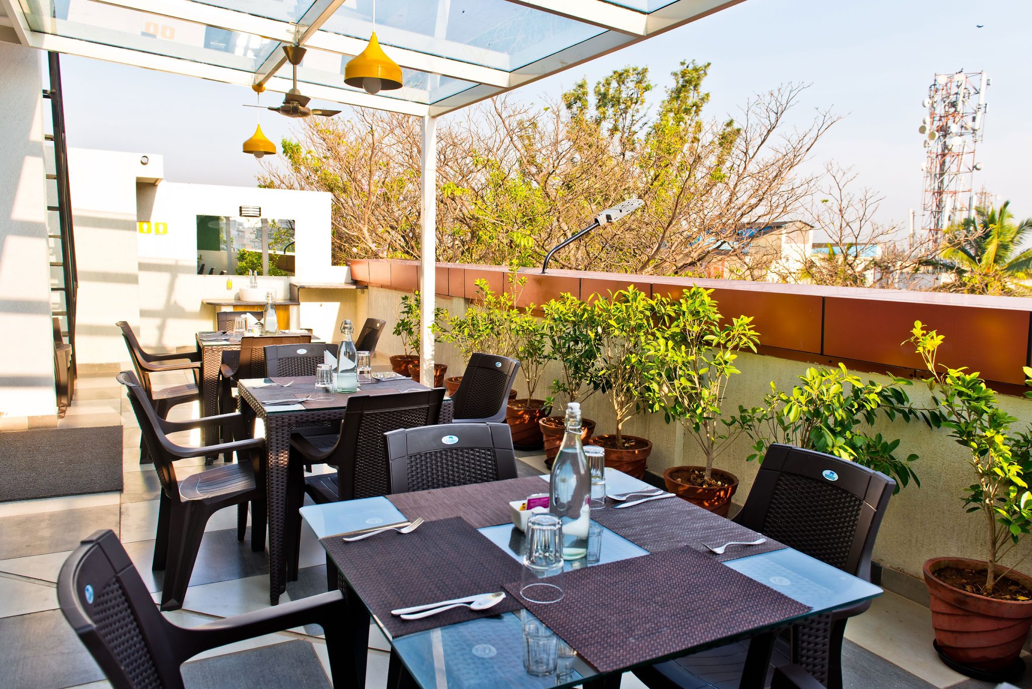 Food & Dining