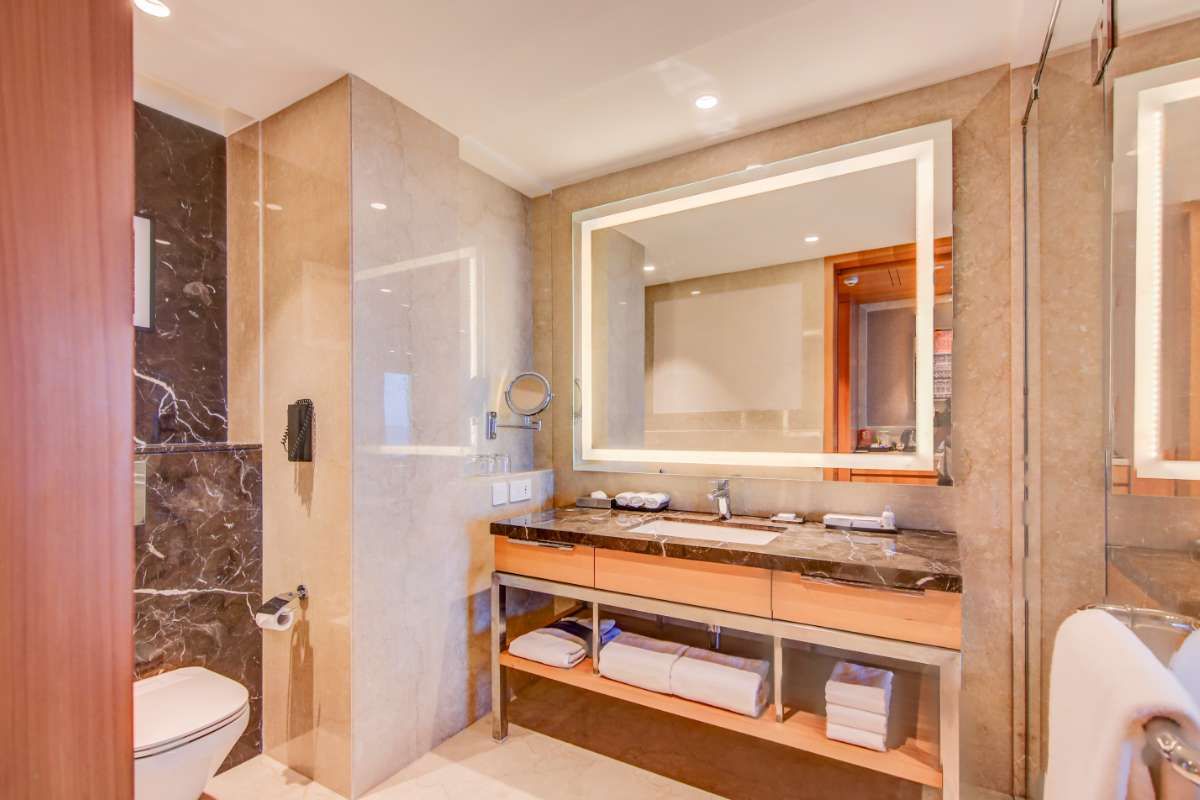 Radisson Blu Gorakhpur Standard Room 80