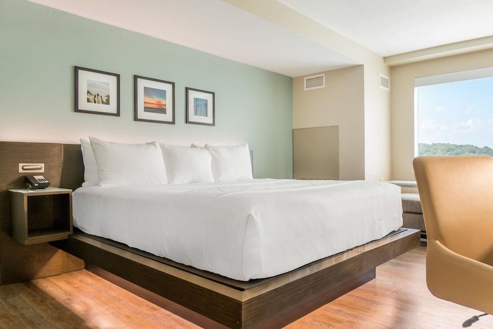 Room, 1 King Bed