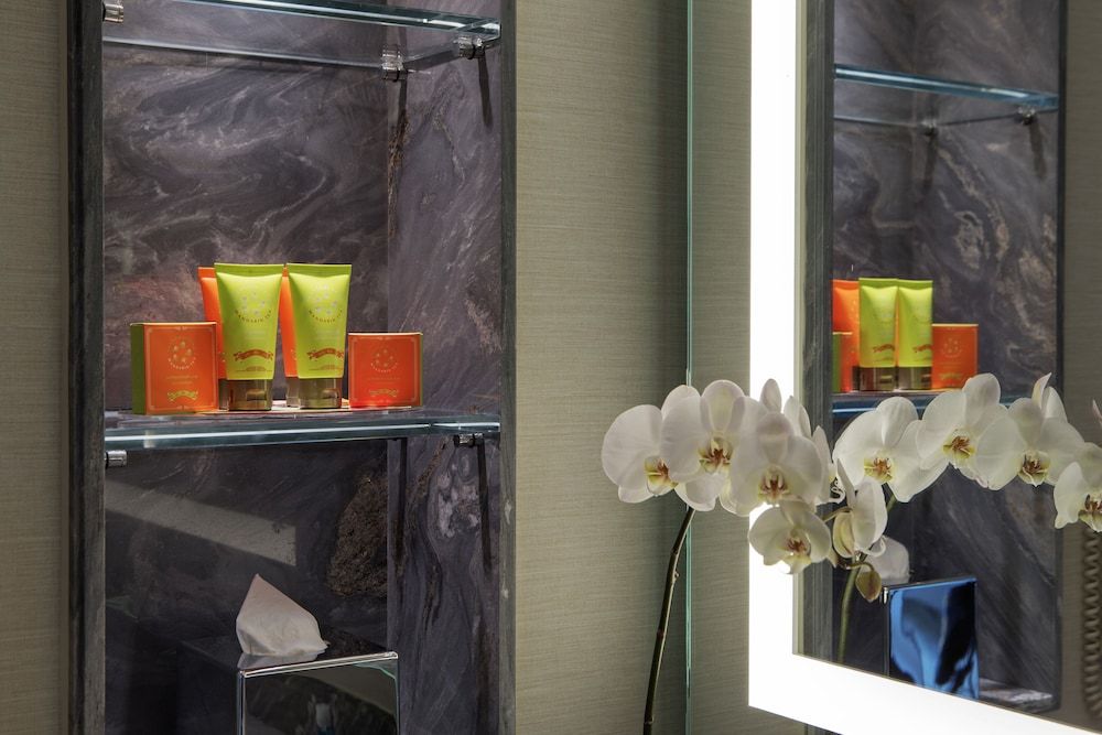 Conrad Istanbul Bosphorus Twin Deluxe Room with Park View 9