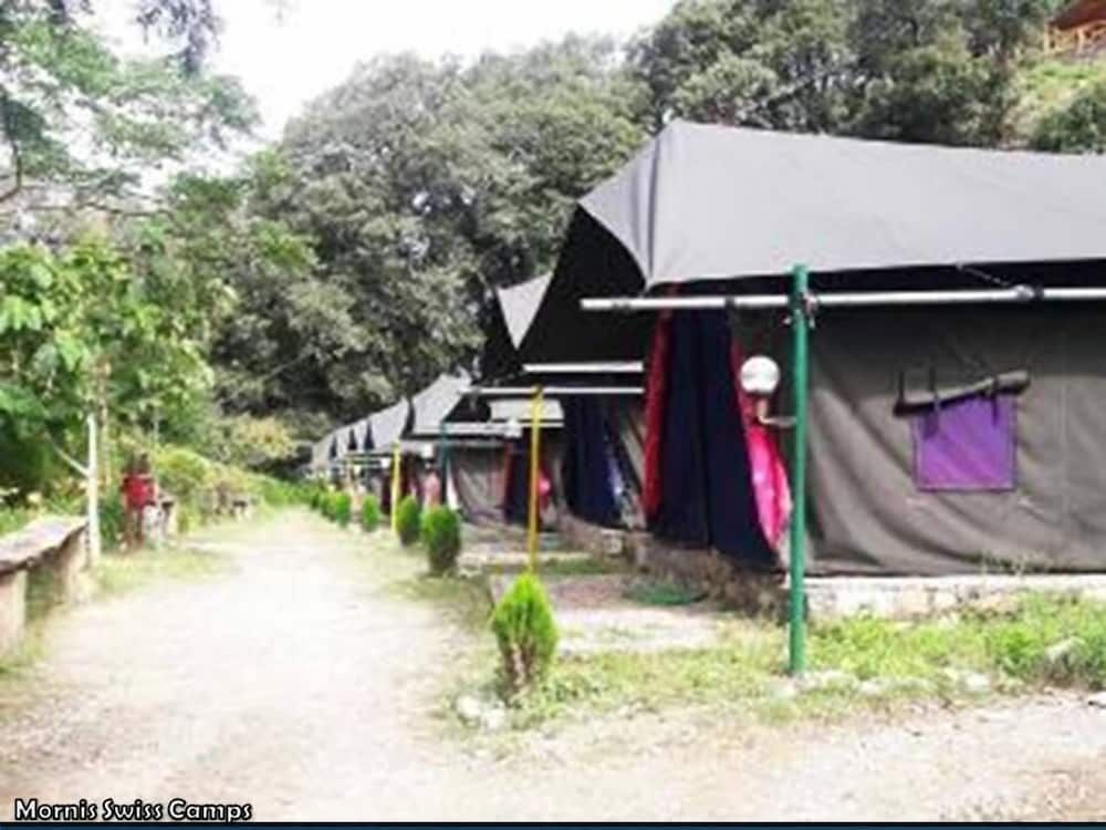 Swiss Camps