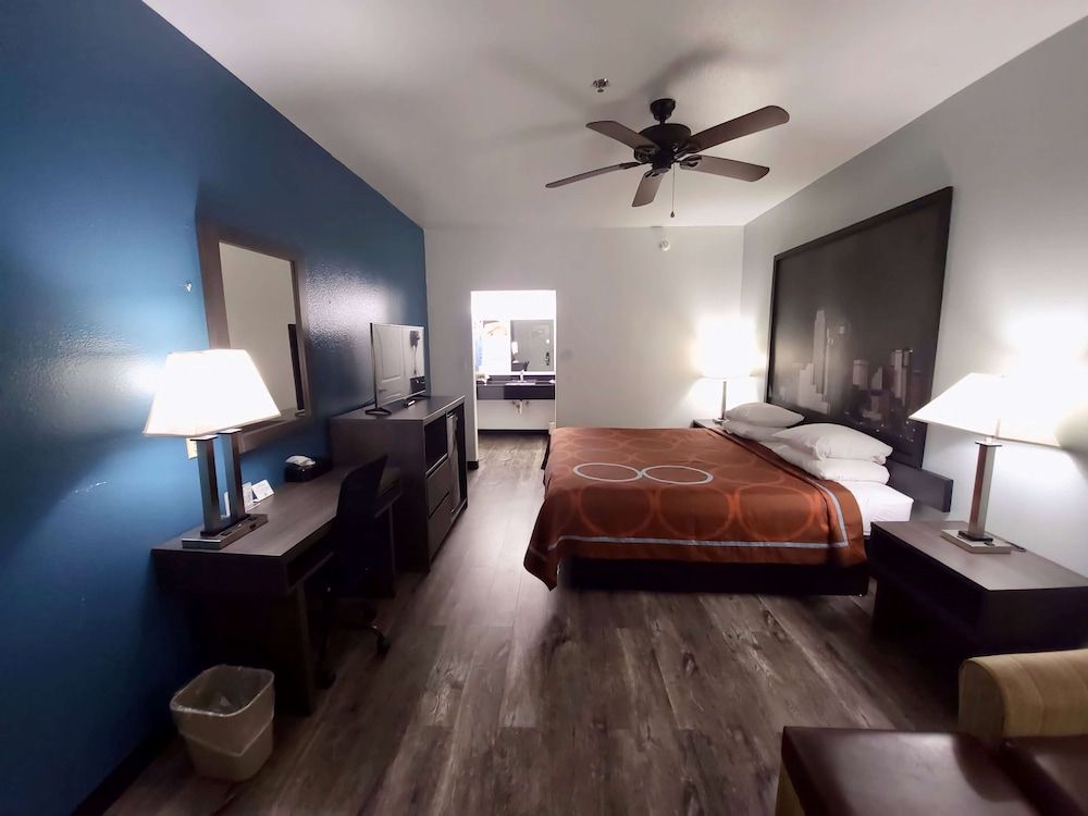 Room, 1 King Bed