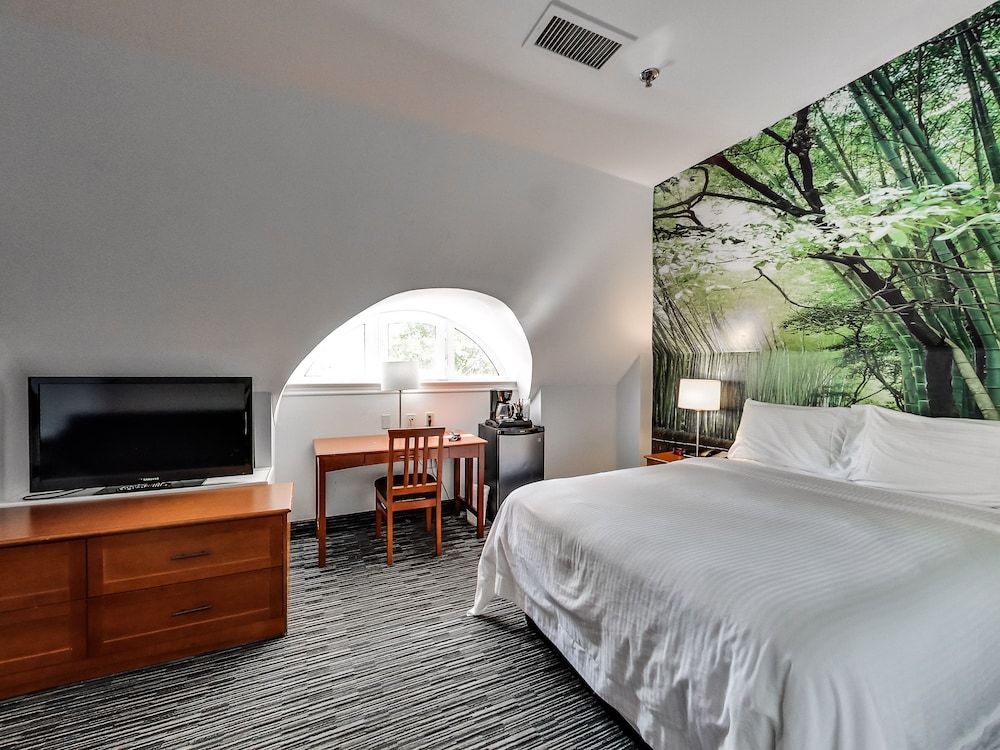 Deluxe Queen Suite with Sofabed 