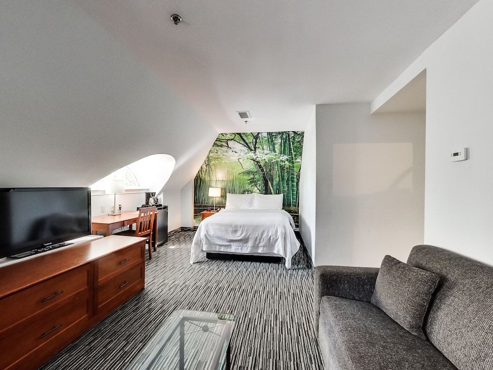 Deluxe Queen Suite with Sofabed 