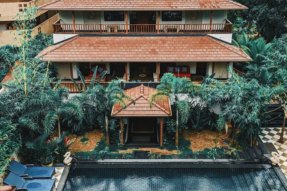 undefined Anamiva, Goa  6