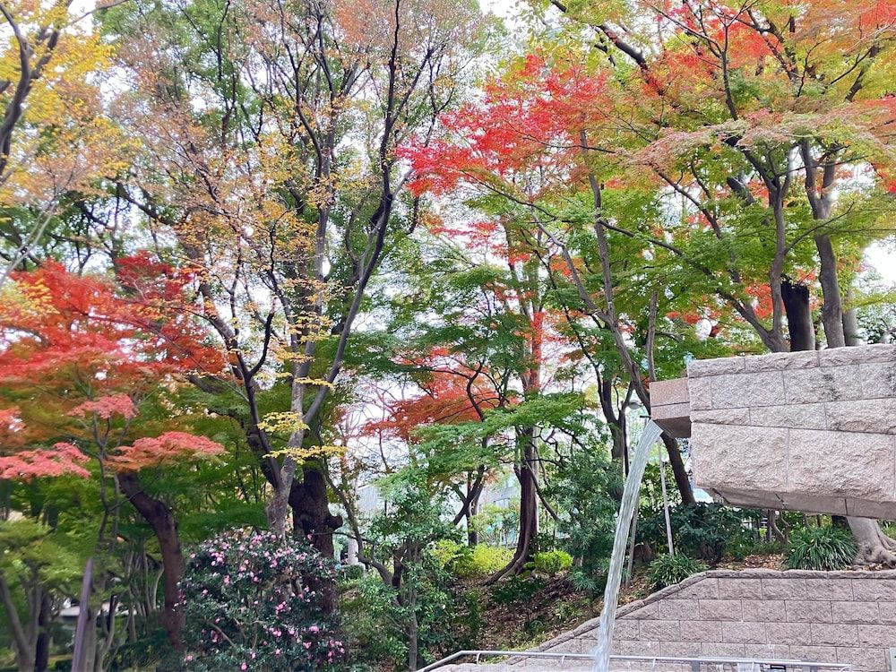 undefined Tokyo Marriott Hotel 8