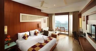 Amber Dale Luxury Hotel & Spa, Munnar Ananta - Tea Plantation View Room AC 8