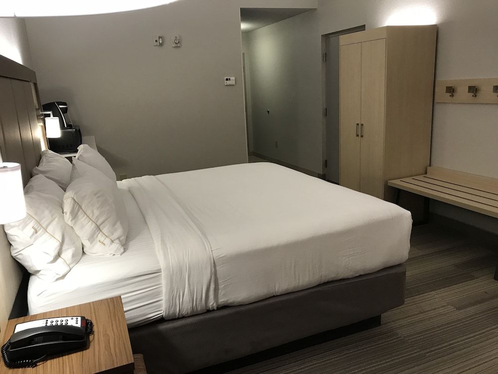 Standard Room, 1 King Bed, Accessible (Roll-In Shower)