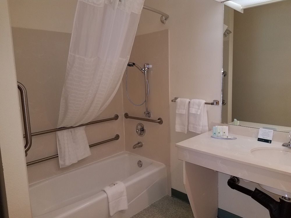 Suite, 1 Queen Bed with Sofa bed, Accessible, Non Smoking (Efficiency)