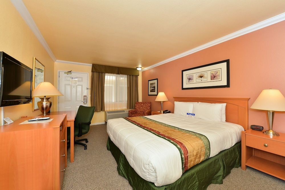 Inn By The SFO Single Room, 1 King Bed 3