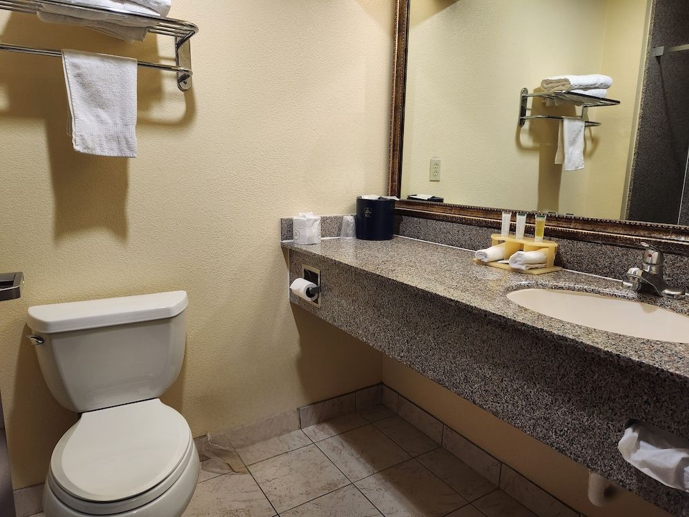 Days Inn & Suites by Wyndham Sam Houston Tollway Room, 1 King Bed, Non Smoking 9
