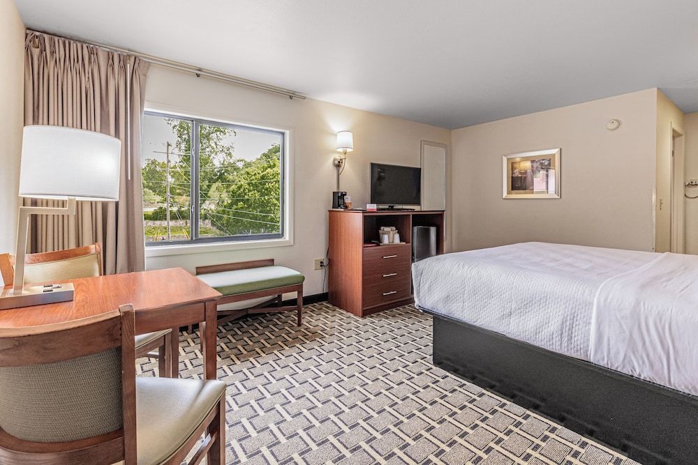 Standard Room, 1 King Bed, Non Smoking, Refrigerator