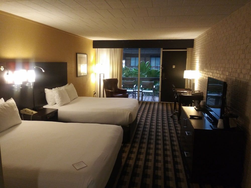 M Hotel Buffalo Room, 2 Queen Beds (Courtyard, First Floor)