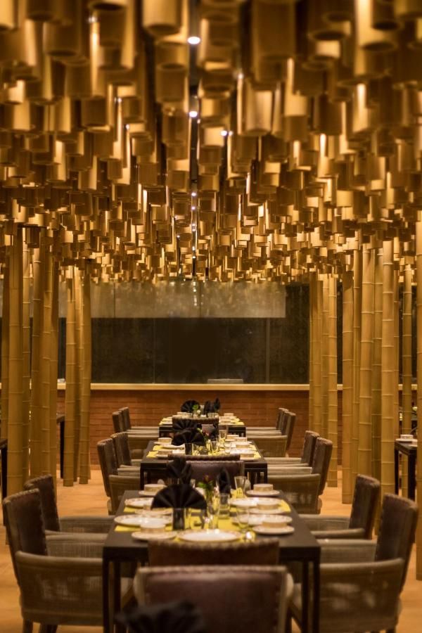 Food & Dining