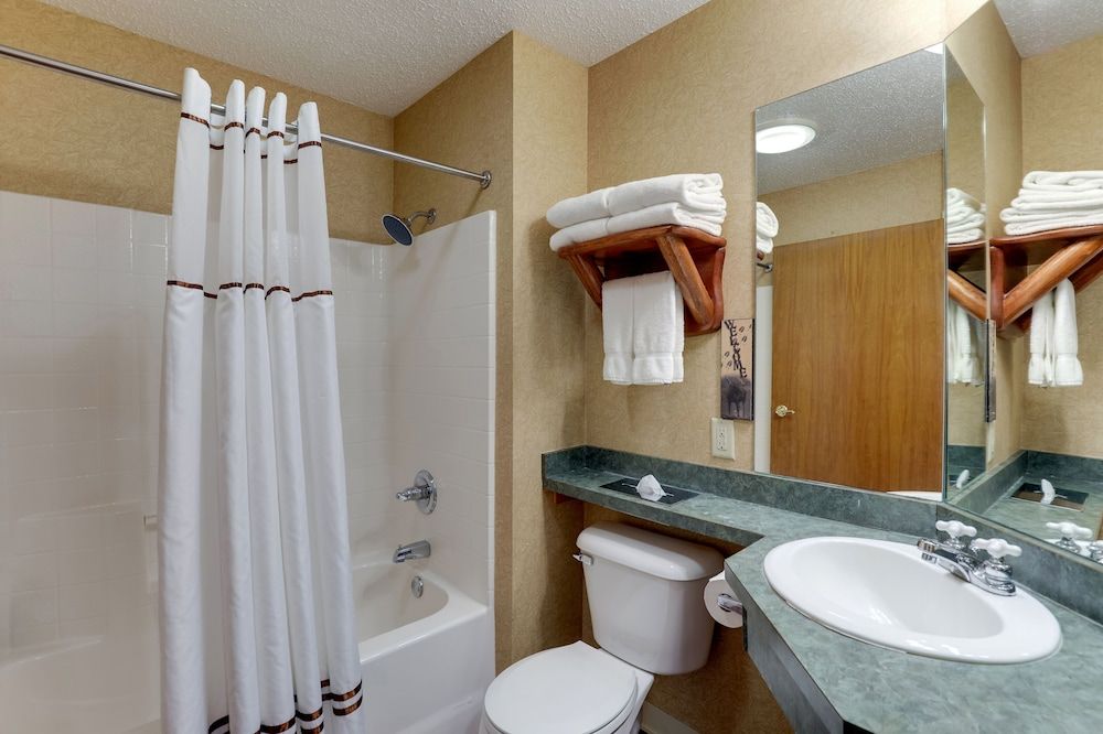 Stoney Creek Hotel Peoria Deluxe Room, 1 King Bed, Non Smoking 5