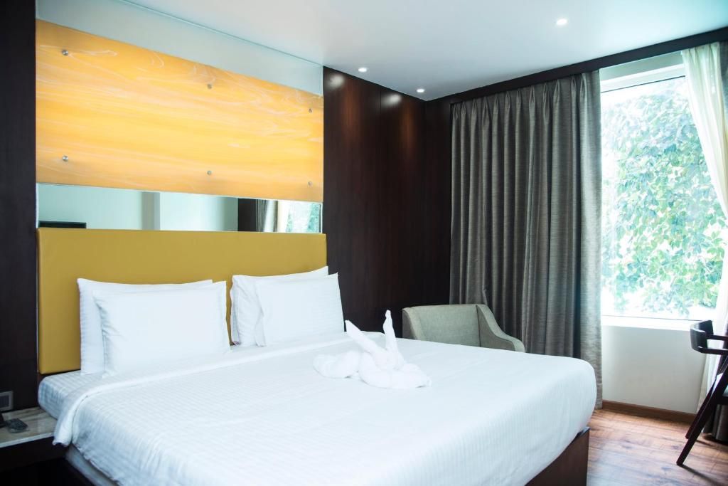 undefined Sea Shell Coral Cove 5