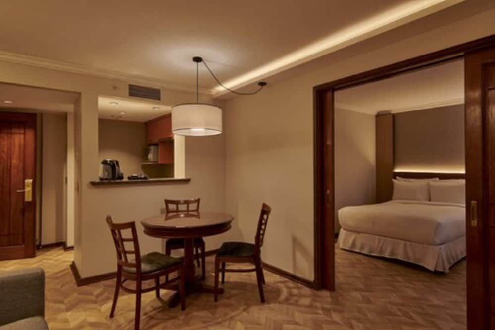 Hotel Plaza El Bosque Ebro Executive Suite, 1 King Bed 9