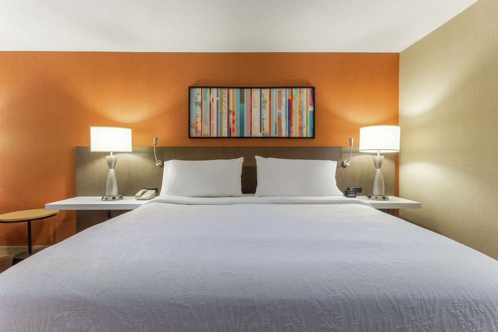 Room, 1 King Bed