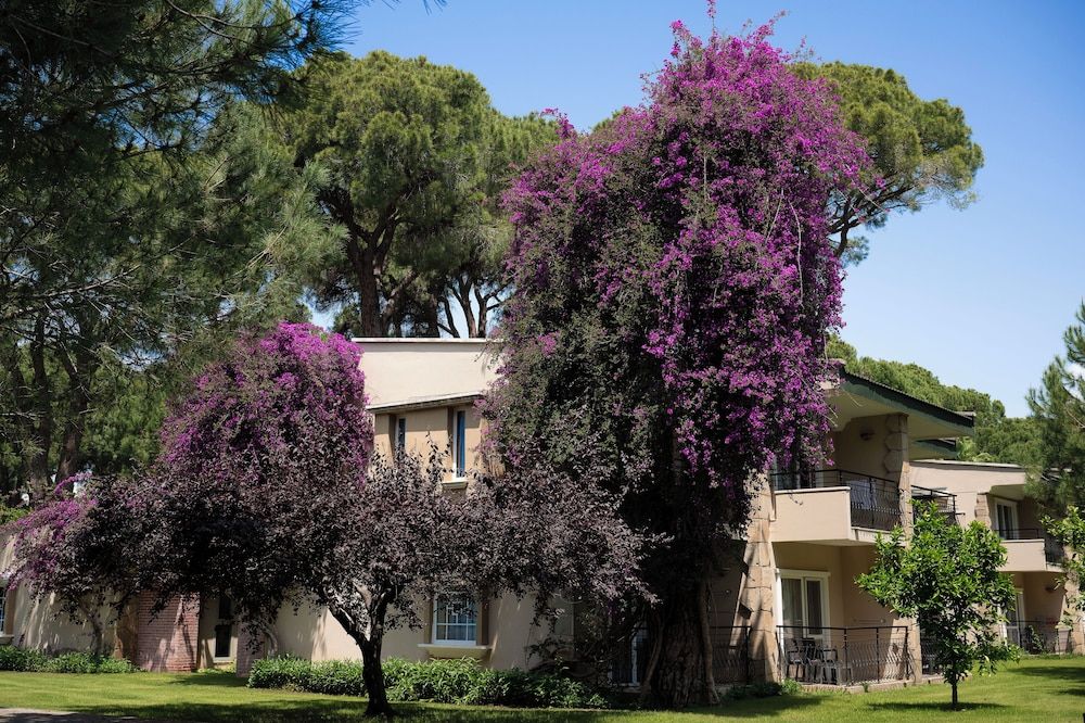 undefined Pine Beach Belek - All Inclusive 3