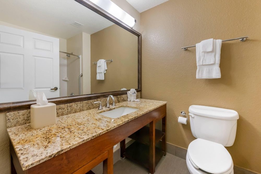 Executive Suite, 1 King Bed with Sofa bed, Non Smoking