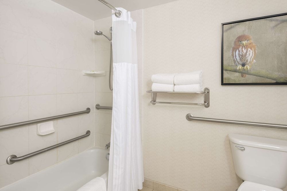 King Bed Accessible Room