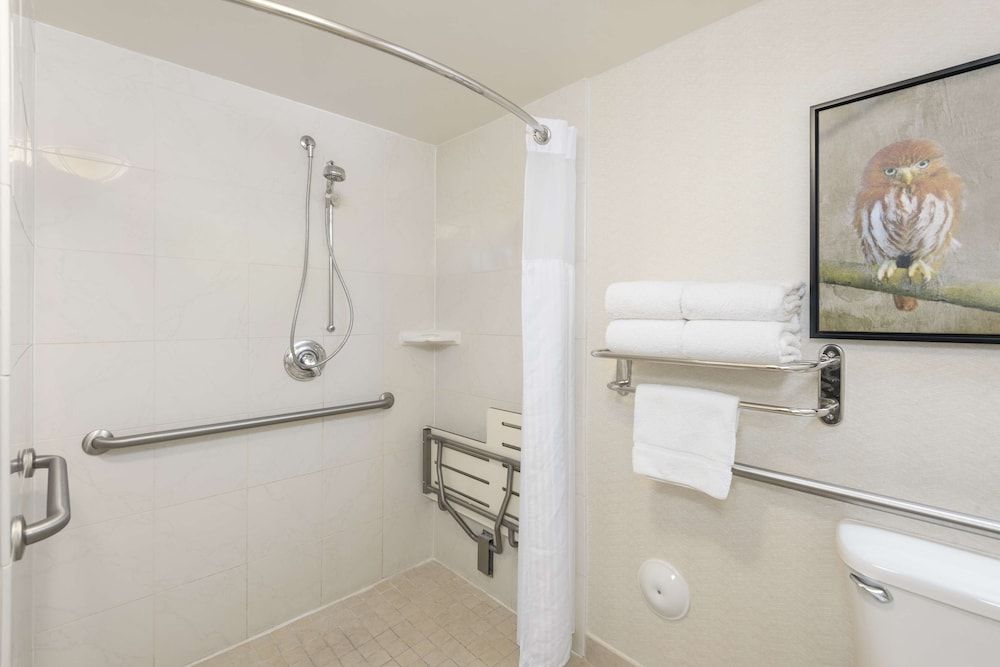 Room, 1 King Bed, Accessible