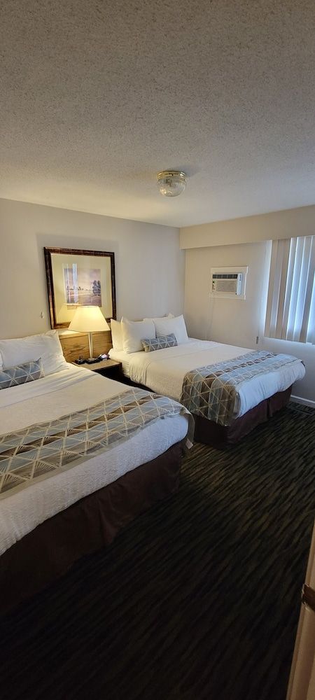 Apartment Suite (Non-Pet Friendly)