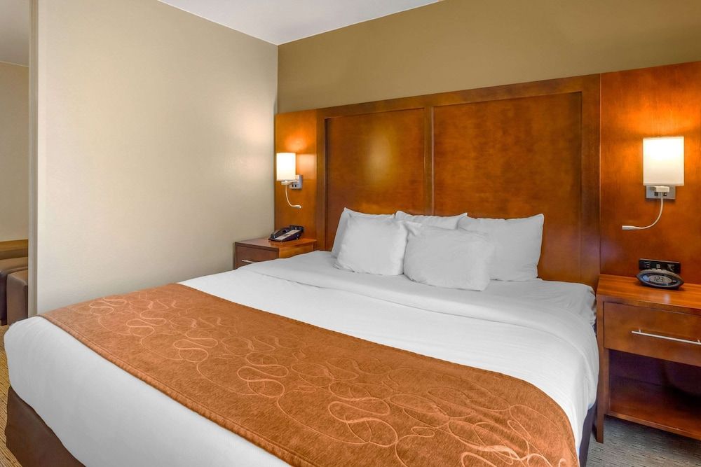 Business Suite, 1 King Bed with Sofa bed, Accessible, Non Smoking