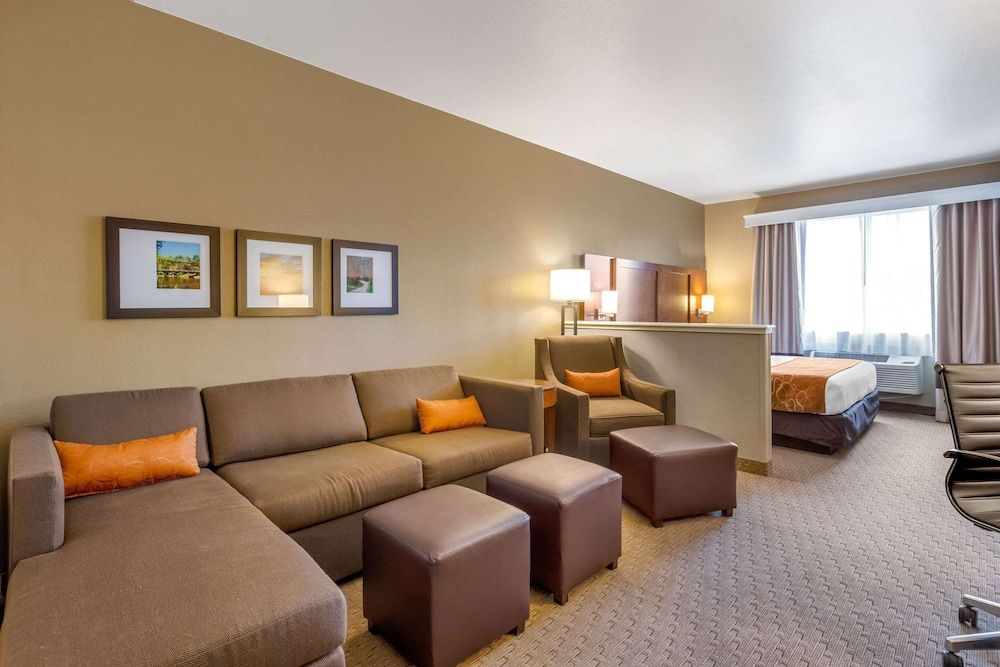 Suite, 1 King Bed with Sofa bed, Non Smoking