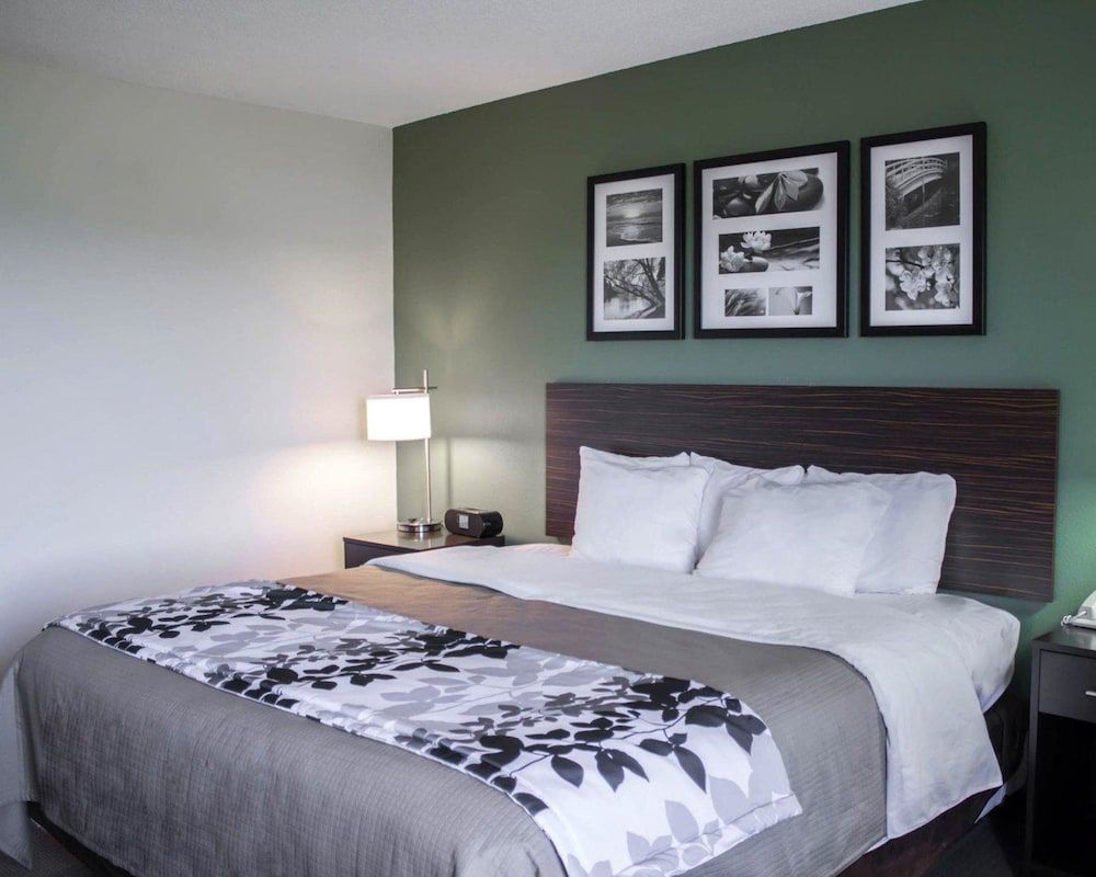 Standard Room, 1 King Bed, Non Smoking