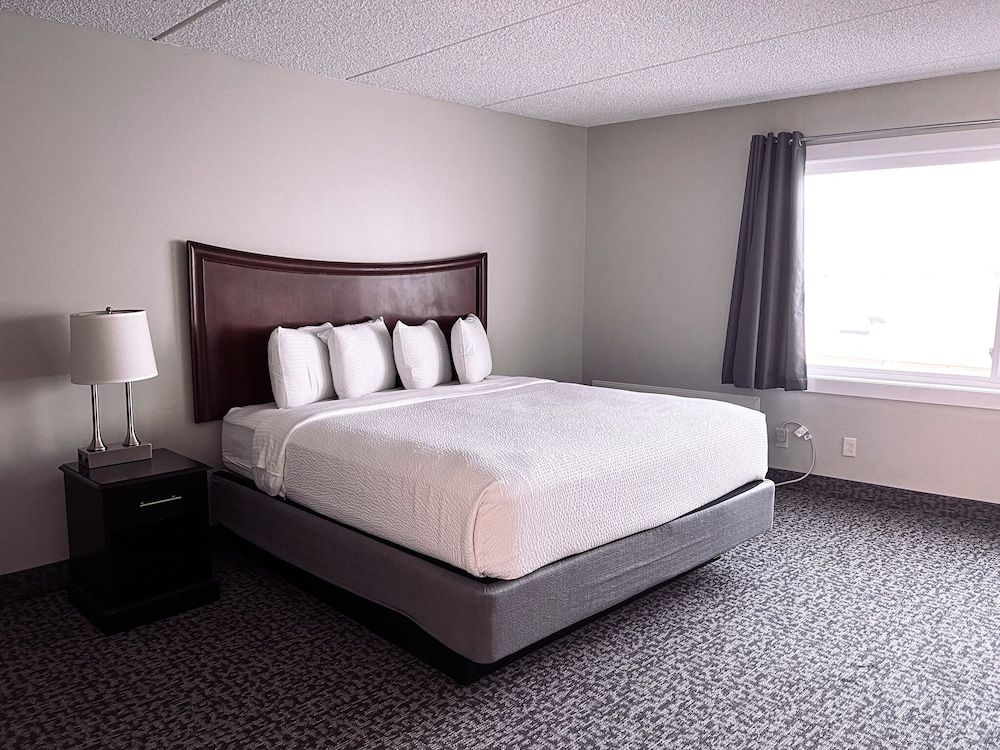 Best Value Room, 1 King Bed