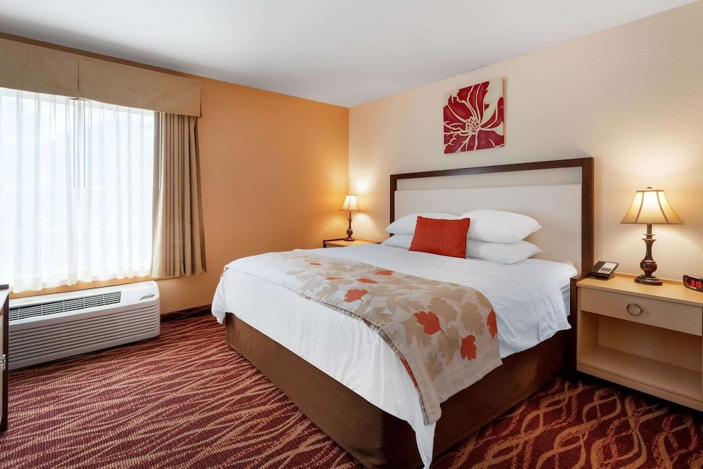 Suite, 1 Queen Bed
