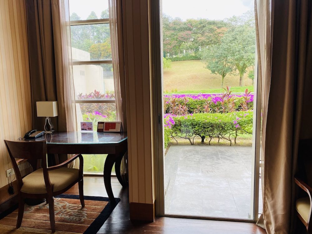 View From Room