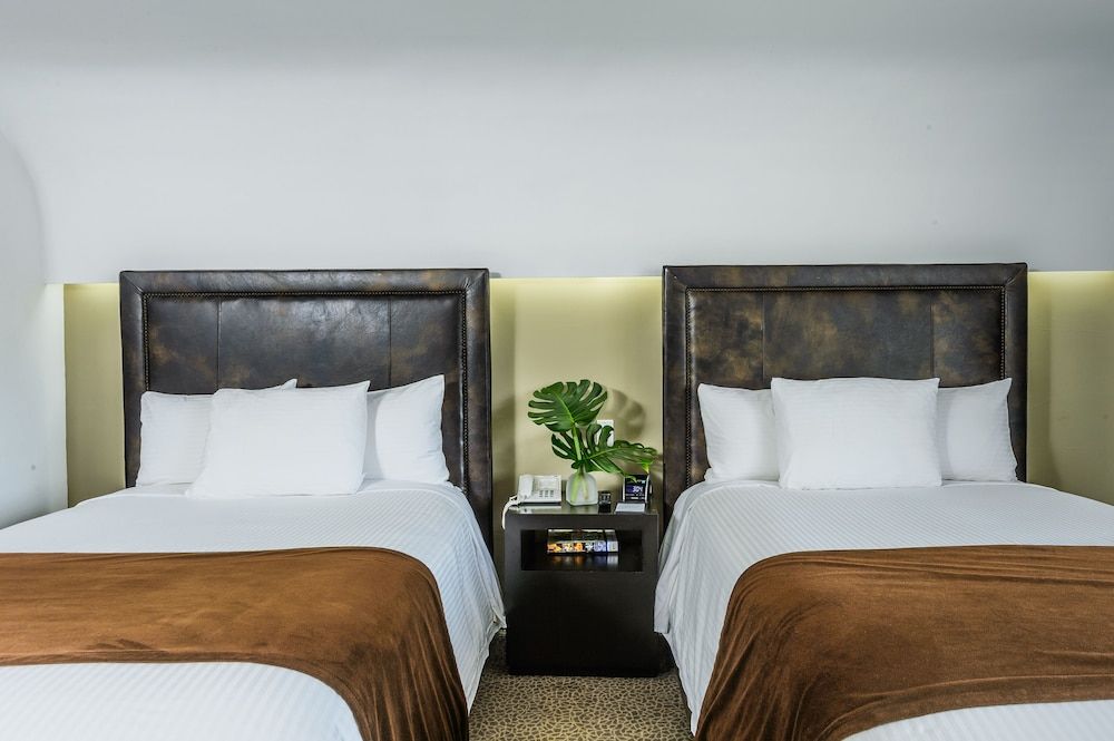 Standard Room, 2 Double Beds